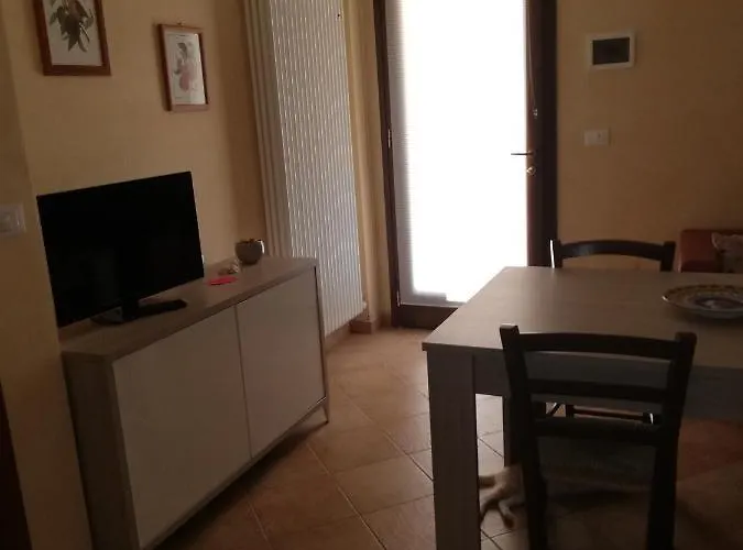 Flabeto * Budrio (Bologna)