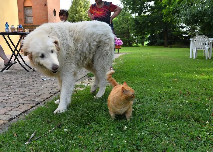 Flabeto * Budrio (Bologna)