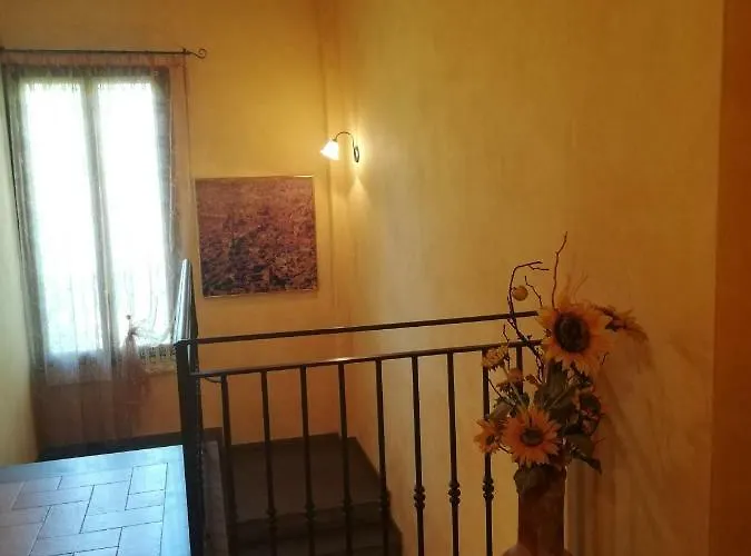 Flabeto Budrio (Bologna)