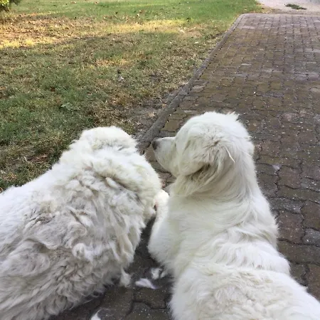 בית חווה Flabeto בודירו