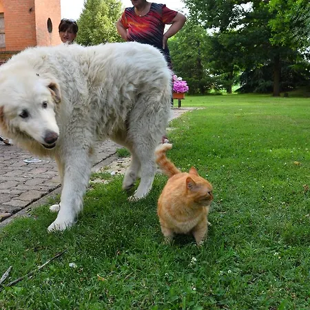 Flabeto * Budrio (Bologna)