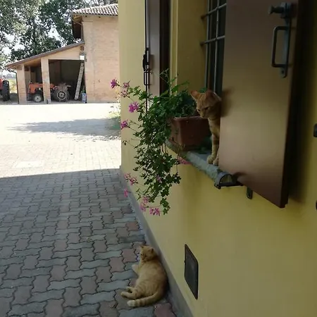Agriturismo Flabeto Budrio (Bologna)