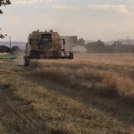 בית חווה Flabeto *