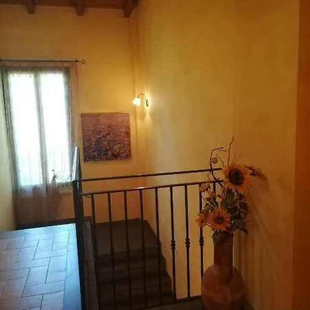 Flabeto Budrio (Bologna)