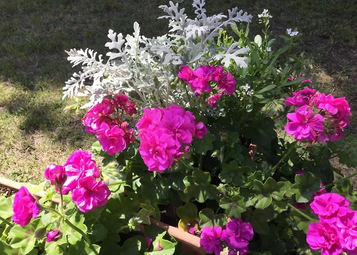 Farm stay Agriturismo Flabeto *