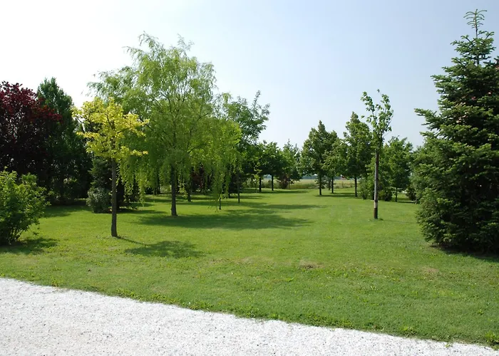 Flabeto * Budrio (Bologna)