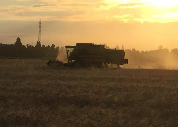 Çiftlik konaklama Flabeto *